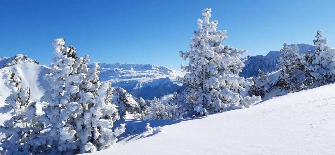 Studio Aux Pieds Des Pistes Roche Beranger Chamrousse Exterior photo